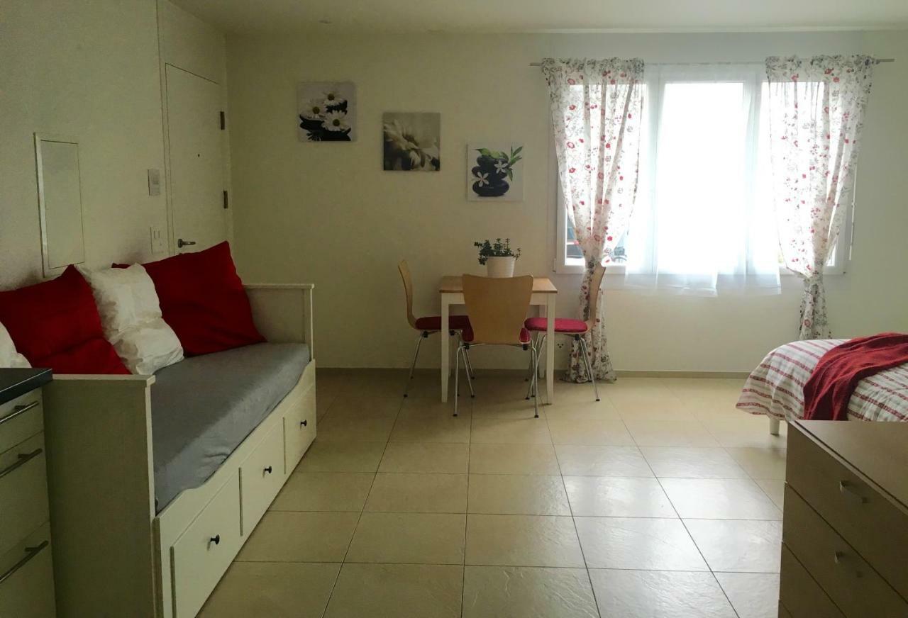 Charming Studio Near Rotsee Lucerne Kitchen/Wifi/Wasching Machine מראה חיצוני תמונה